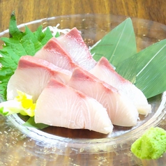 宮崎県産 黒瀬ブリ