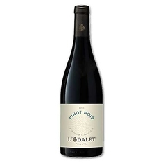 ロダレピノ・ノワール