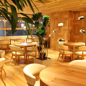 GRILL&BEER SAIBOKU グリルアンドビア サイボクの雰囲気1