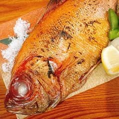 金目鯛　塩焼き・煮付け