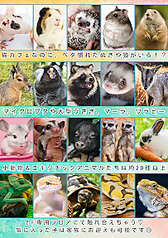 Cat&Animal Cafe Noah s Ark ノアズアーク 大阪天神橋3丁目店のおすすめポイント1