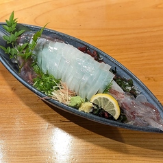 活イカ姿造り