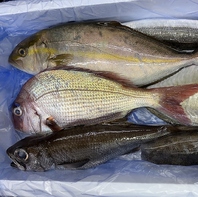 久自慢の新鮮なお造り♪