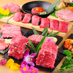 大衆焼肉びりちゃん 難波 心斎橋店のコース写真