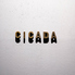 CICADA シカーダのロゴ