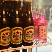 【昭和レトロな雰囲気】年配のお客様には懐かしさ・Z世代には新しさを実感でき、写真映えする店内。ドリンクは昔ながらのホッピーやバイスサワーもご用意しております♪サク飲みの際は、相性の良いもつ焼きと一緒にお楽しみください！