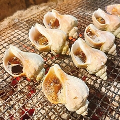 青つぶ貝 1ケ