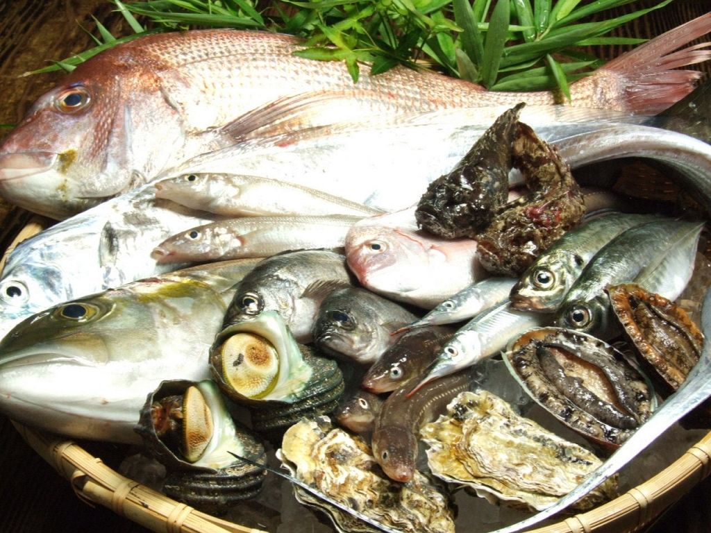 小イワシ・鯛・おこぜ・サザエなど…瀬戸内で獲れた新鮮な魚はぜひお刺身で。
