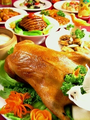 中国東北料理 龍鳳飯店特集写真1