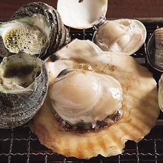 【北海道さるふつ漁港直送 】活ホタテ焼