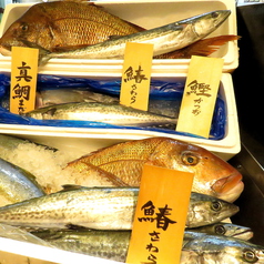 新鮮な豊洲鮮魚を使った定食がございます♪