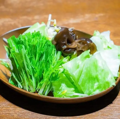 ねぎ・白菜・キャベツ・レタス・大根・水菜・もやし・せり・えのき・じゃがいも・長芋・里芋・レンコン