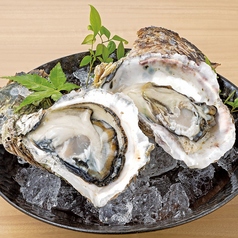 岩牡蠣(特大) 1個
