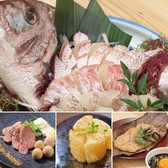 肴と酒と鮮魚 こころびの写真