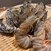 旬材と技が光る多彩な料理◎