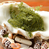 た～ちまやぁ 沖縄の幸のおすすめ料理3