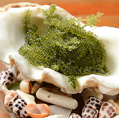 沖縄直送「プチプチ海ブドウ」の写真