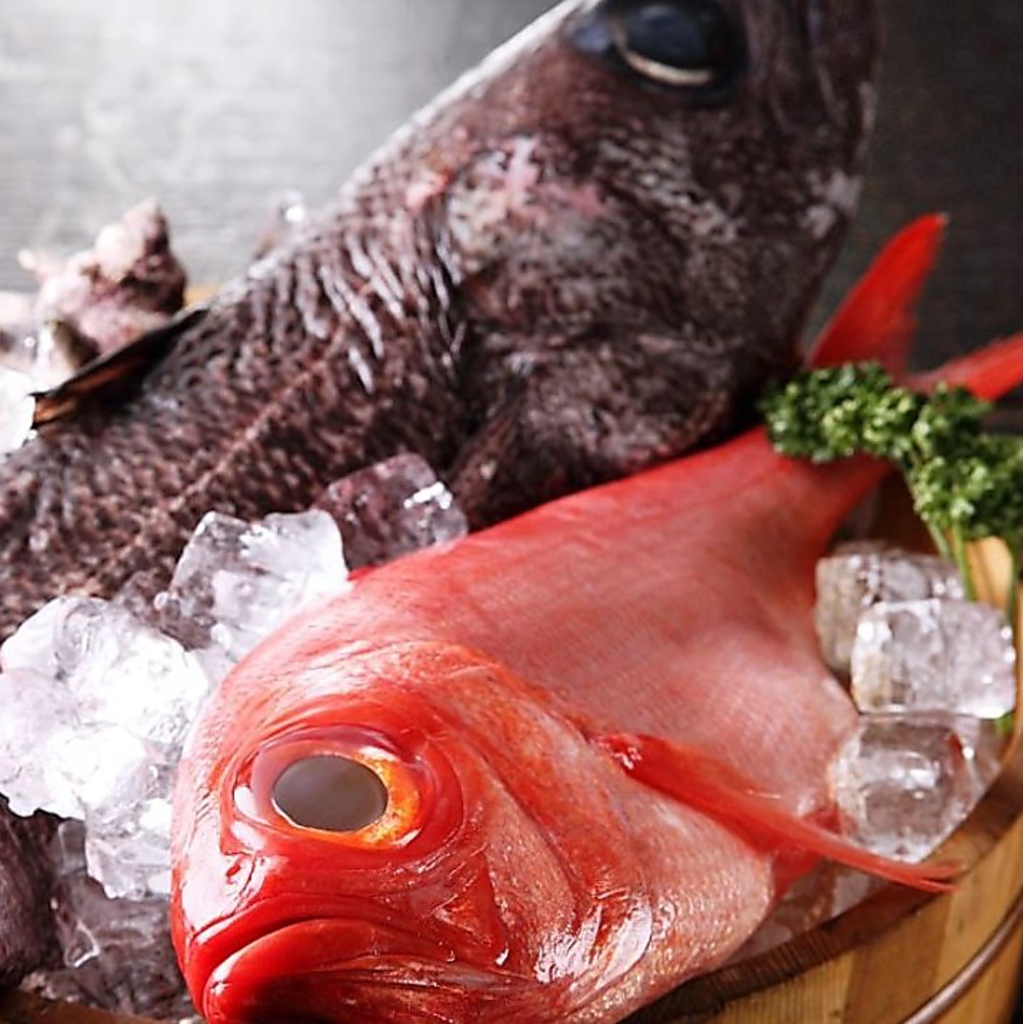 毎日仕入れる自慢の鮮魚をお楽しみください♪