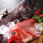 毎日仕入れる自慢の鮮魚をお楽しみください♪