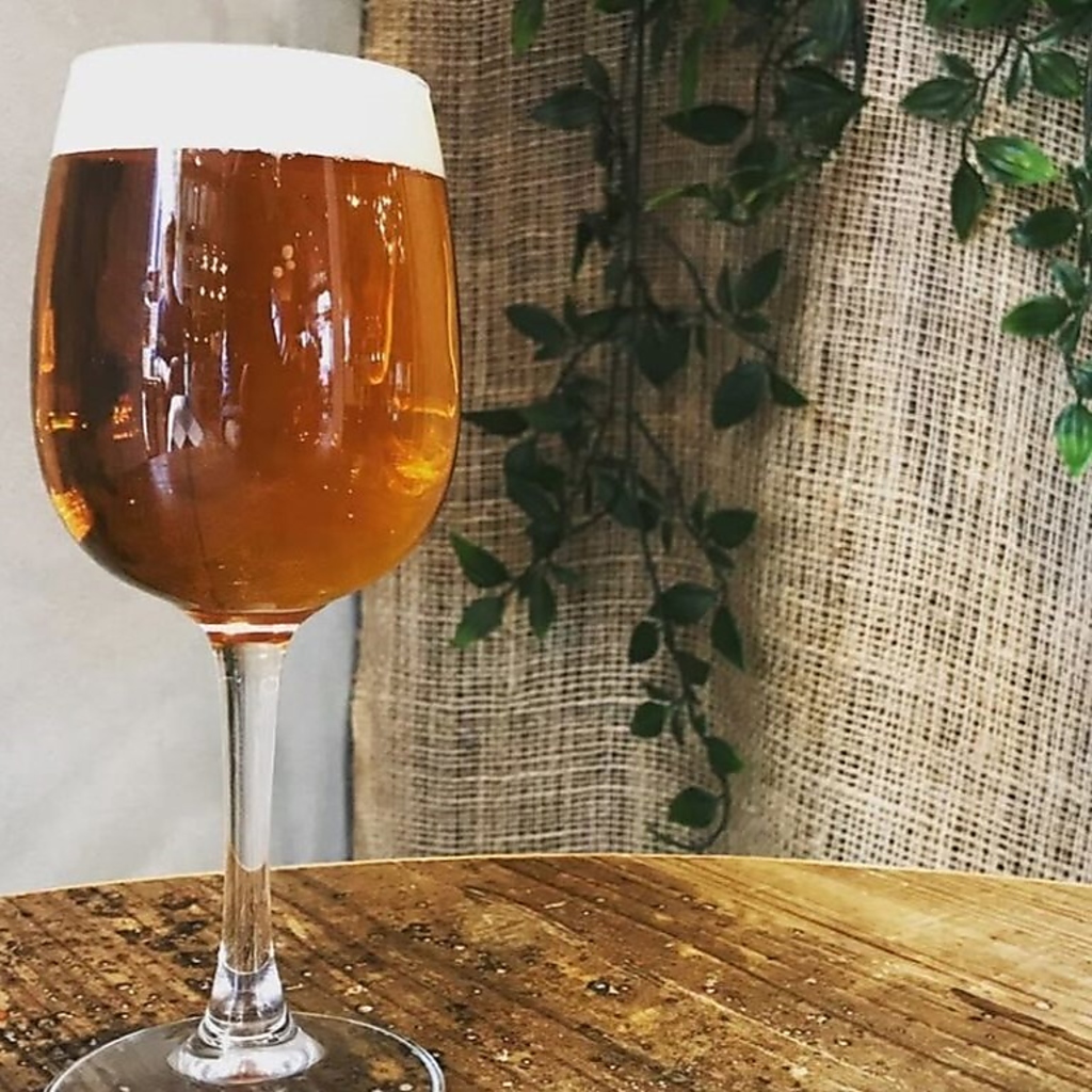【10種類以上のクラフトビール】苦みの強いものからフルーティーなものまで幅広くご用意！