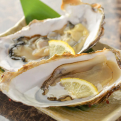 居酒屋 海男 シーマンのコース写真