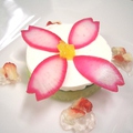 料理メニュー写真 【春】魚貝のお菓子仕立て
