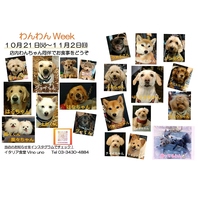 ☆わんわんWeek☆