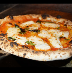 イタリアン酒場 ハレルヤのコース写真