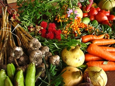 季節の野菜を食べて、体の中から綺麗に！！旬の野菜をＹｏｕ　Ｏｎｅスタイルで！！