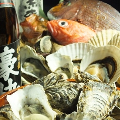 肉刺しと牡蠣 びー〇 ビーマルの特集写真