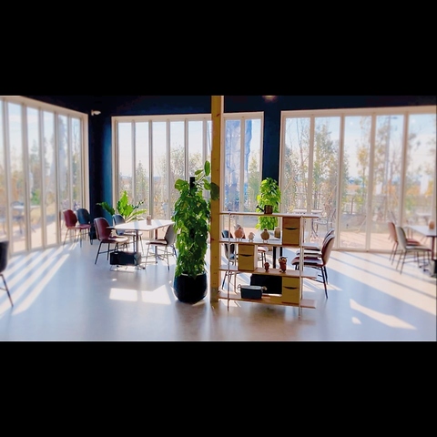 Garden Kitchen�C�ƕ�