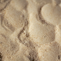 parade - パレード伏見洋菓子店の写真2