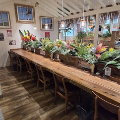 木の温もりに包まれたカウンター席は、お一人様はもちろん、気軽なランチやカフェタイムにも最適。ゆったりとしたハワイアン気分を味わえます。スタッフとの会話も楽しめる、居心地の良い特等席です。