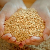 久保さんちの特別栽培米と厳選和牛の焼肉を堪能♪