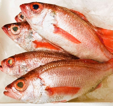 魚酒肴くぅのおすすめ料理1