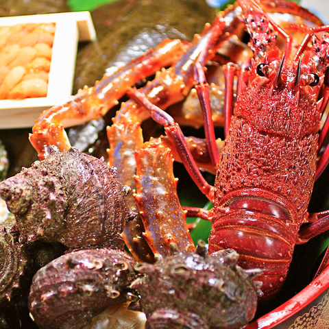 銀座 魚ばか はなれ 飯田橋 居酒屋 ホットペッパーグルメ