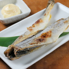 標津産 氷下魚(コマイ)