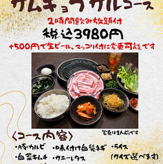 ホルモン焼きてっちゃんのコース写真