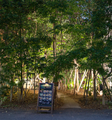 グリーンハウスシルバの外観3