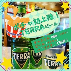 TERRAビール