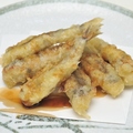 料理メニュー写真&nbsp;メヒカリの天ぷら