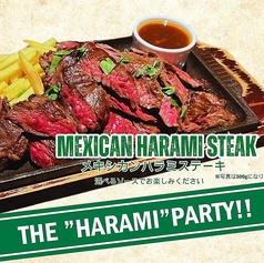 メキシカンハラミステーキ