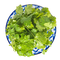 バンコク屋台カオサン イイトルミネ新宿店の写真2