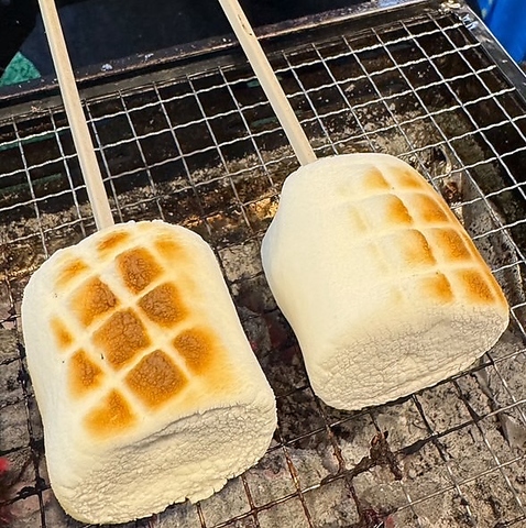 fWL[BBQeX {ꃂA[YVeBX