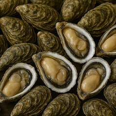 至福のお刺身とウニを堪能 青龍のコース写真