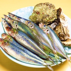 旬菜亭 昌の特集写真