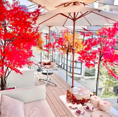 季節で変わるテラスの植物も楽しみの一つ当日空きがあるかお問合せ下さいませ