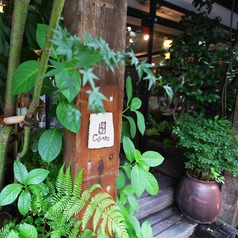 開放的ガーデンスペース☆甕や壺から植物も　癒しのカフェ。