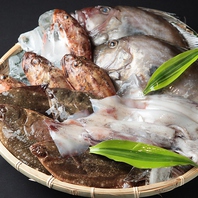 【産地直送の鮮魚を様々な調理法で】
