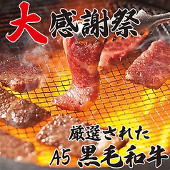 焼肉しゃぶしゃぶNo 1 新宿歌舞伎町店のおすすめ料理2
